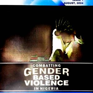 Combating Gender- Based Violent in Nigeria