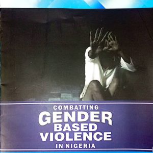 Combating Gender- Based Violent in Nigeria