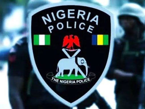 STATE POLICE IN NIGERIA: A BREAKDOWN OF THE 2026 PROPOSED CONSTITUTIONAL AMENDMENT STATE POLICE IN NIGERIA: A BREAKDOWN OF THE 2026 PROPOSED CONSTITUTIONAL AMENDMENT